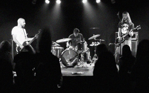 http://www.dirtyskunks.org/bandinfo/voodoomule.jpg