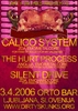silent-hurt-calico.jpg